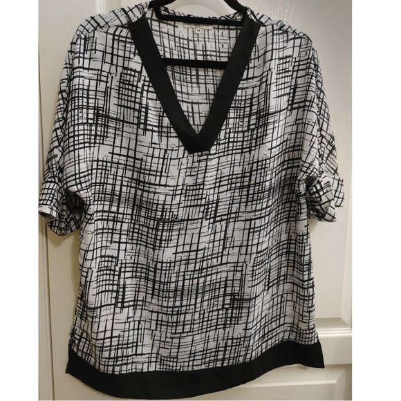 PAPAYA LOOSE VNECK BLOUSE (US 8) - Picture 1 of 4
